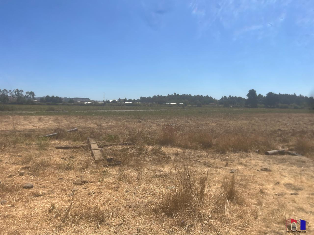 Linda Parcela de agrado en Panguilemito Region del Maule 