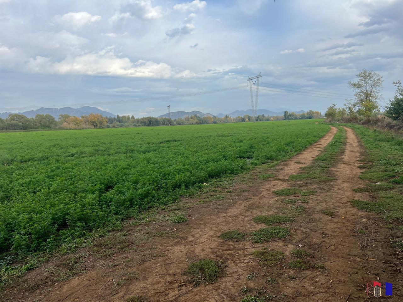  Vendemos Terreno Agr�cola