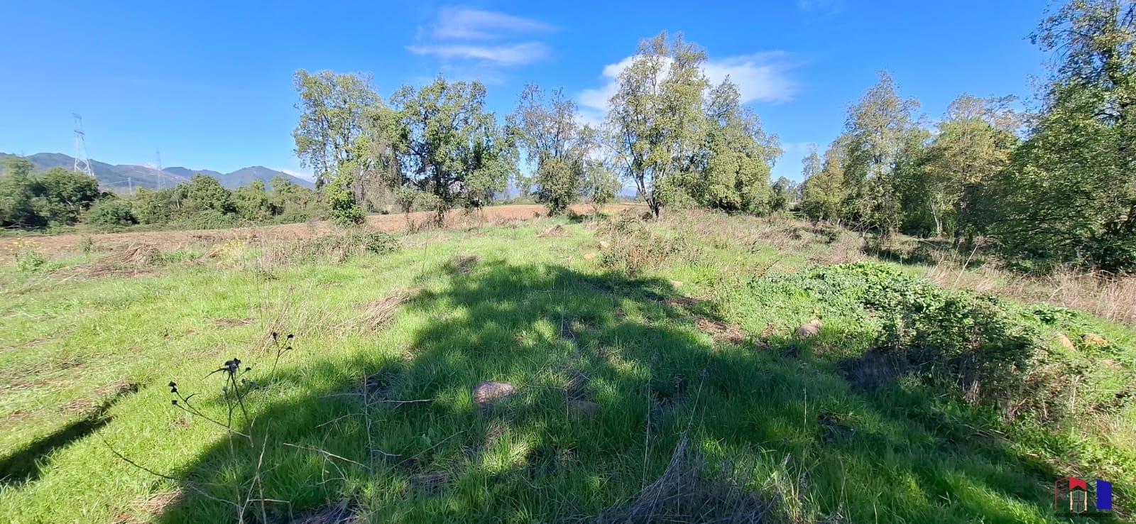 Terreno Agricola en Venta 