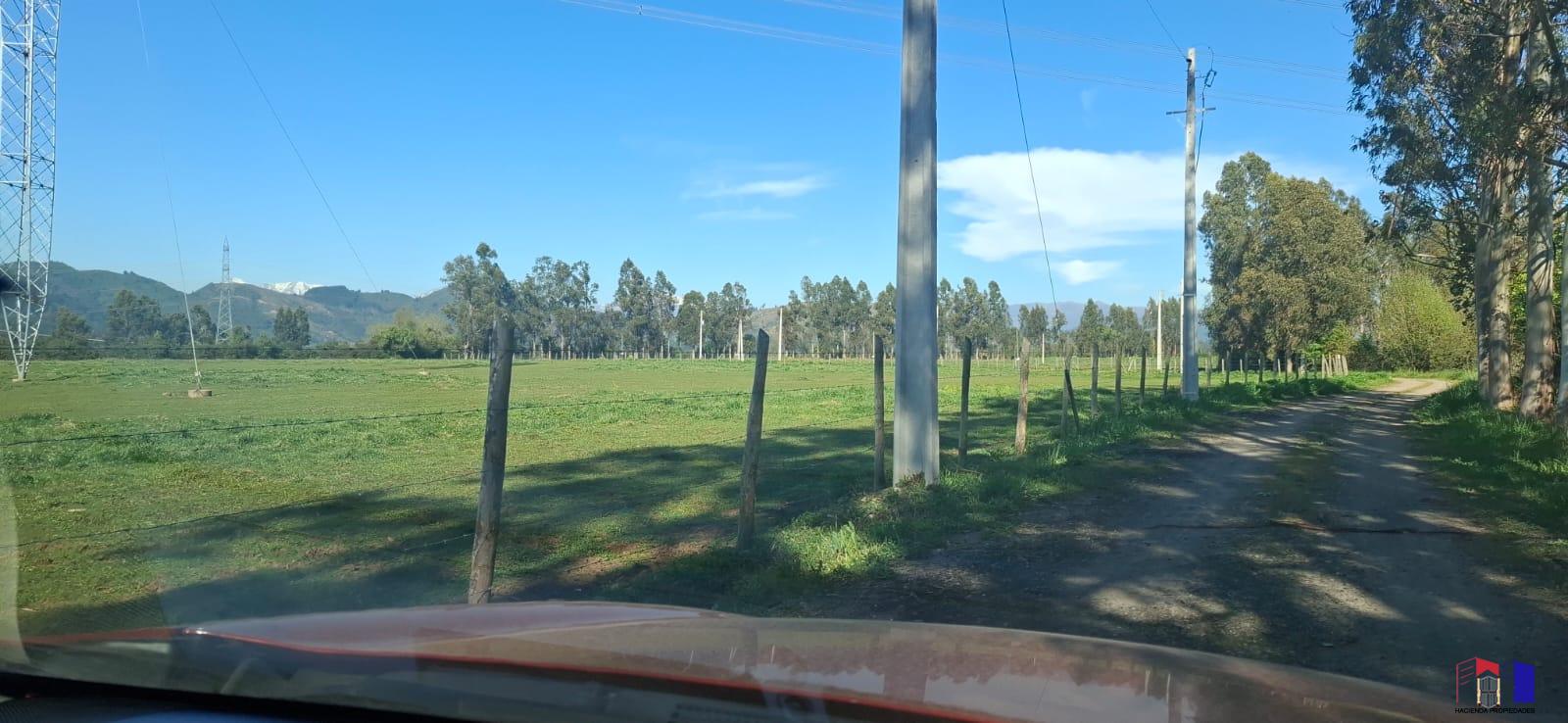 Hermosa Parcela de Agrado San Clemente 